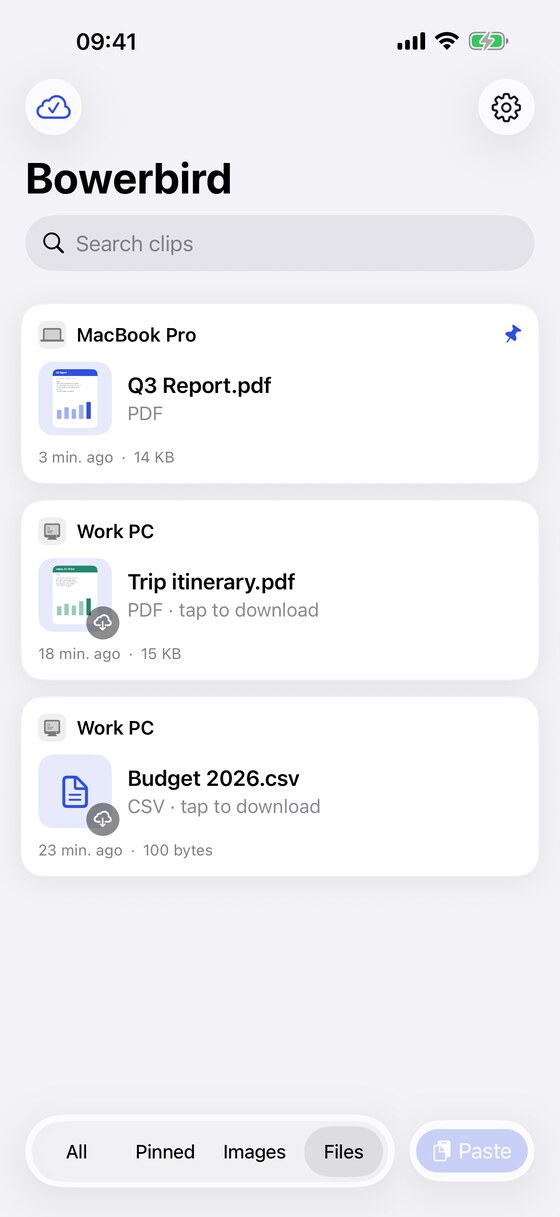 Files stored in Bowerbird on iPhone